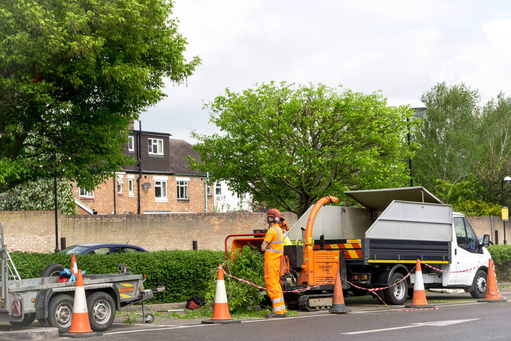 Commercial Tree Surgeon Cardiff