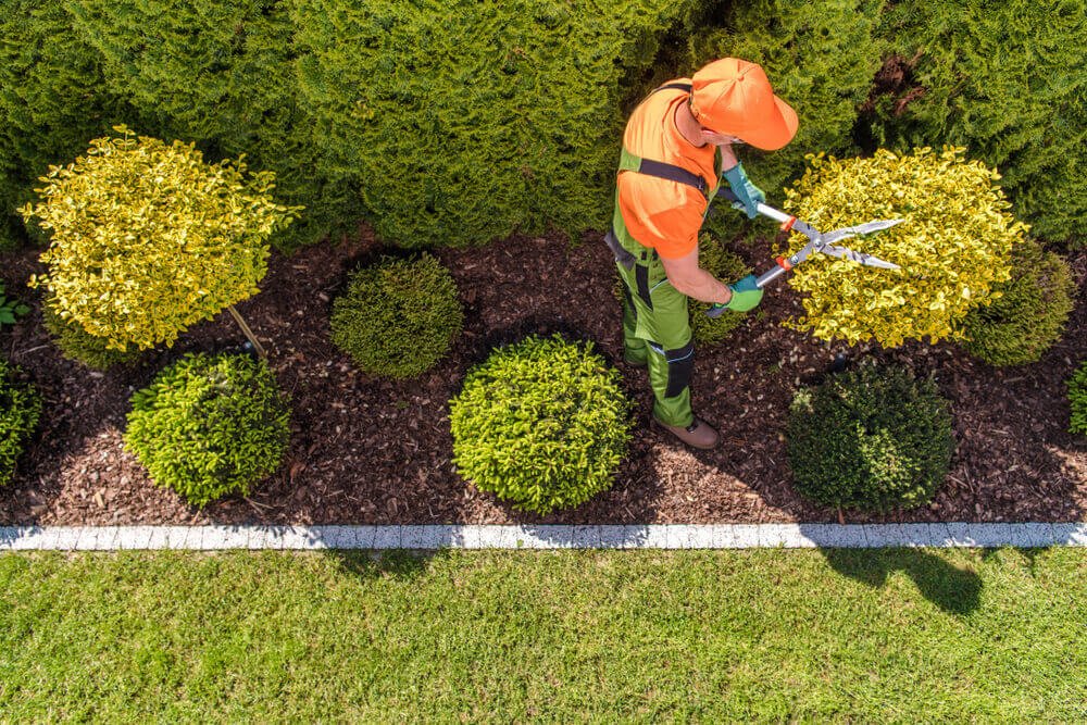 Landscapers Cardiff