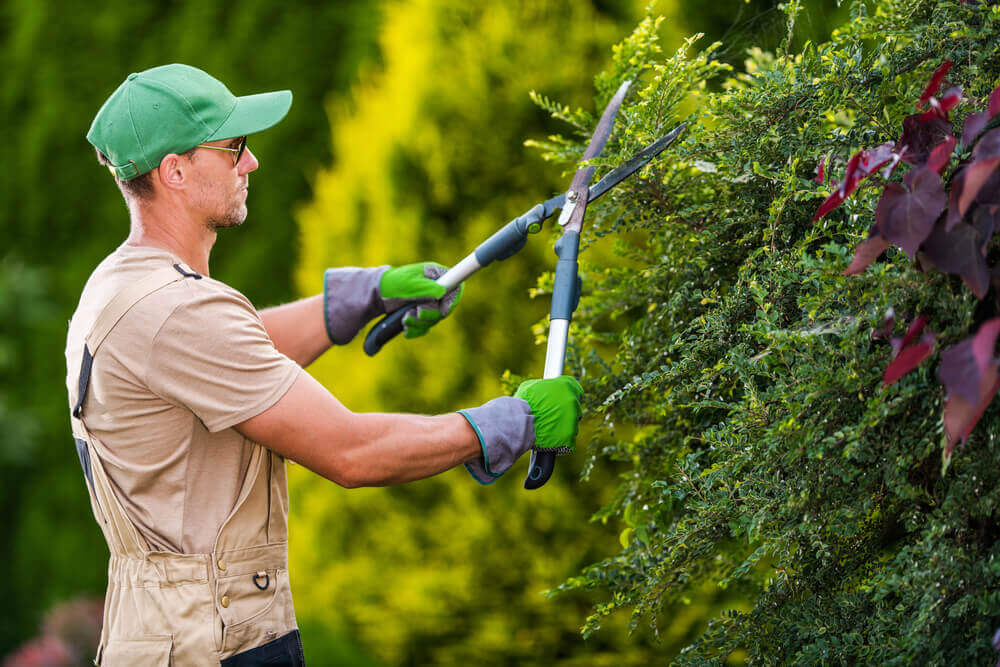 Landscaping Service Cardiff