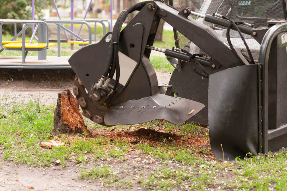 Stump Grinding & Removal Expert