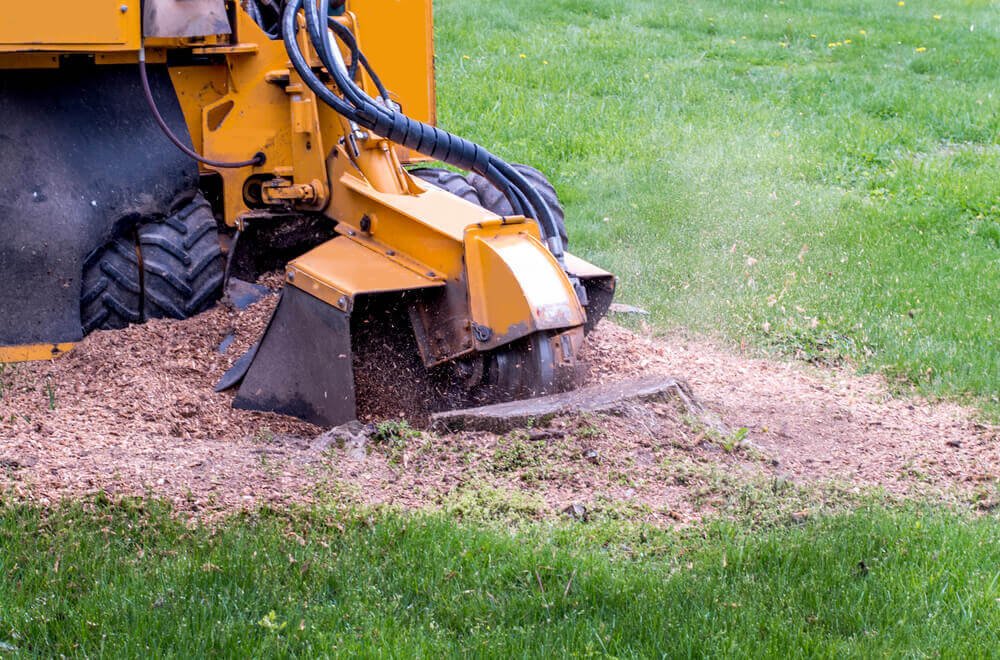 Stump Grinding Service