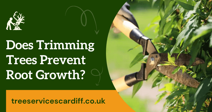 trimming trees prevent root growth